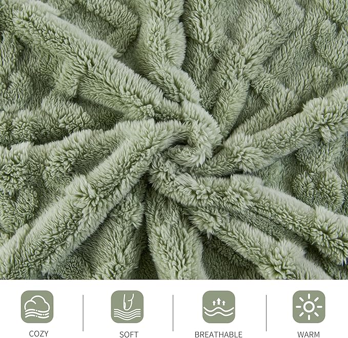 Aganear Blanket Queen Size - Fuzzy Cozy Soft Blanket for Couch, Sofa, Bed, Office, Decorative Present for All Seasons, Portable Throw Blankets for Couch, Sofa, Bed(90"x90", Sage Green)