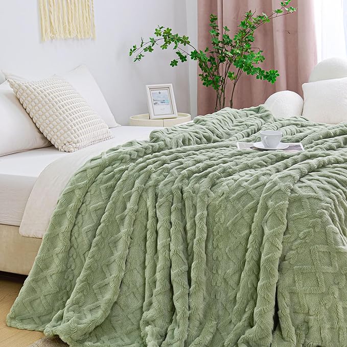 Aganear Blanket Queen Size - Fuzzy Cozy Soft Blanket for Couch, Sofa, Bed, Office, Decorative Present for All Seasons, Portable Throw Blankets for Couch, Sofa, Bed(90"x90", Sage Green)