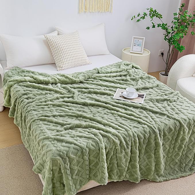 Aganear Blanket Queen Size - Fuzzy Cozy Soft Blanket for Couch, Sofa, Bed, Office, Decorative Present for All Seasons, Portable Throw Blankets for Couch, Sofa, Bed(90"x90", Sage Green)
