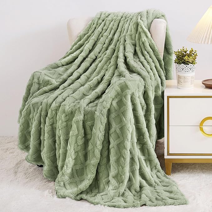Aganear Blanket Queen Size - Fuzzy Cozy Soft Blanket for Couch, Sofa, Bed, Office, Decorative Present for All Seasons, Portable Throw Blankets for Couch, Sofa, Bed(90"x90", Sage Green)